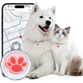 جهاز تعقب GPS ذكي للكلاب|جهاز تتبع GPS صغير سهل الاستخدام للقطط|مقاوم للماء والسقوط|جهاز تعقب ذكي لتحديد المواقع في الوقت الحقيقي|عمر بطارية طويل للغاية يصل إلى 365 يومًا|بدون اشتراك (Android وiOS) in Kuwait