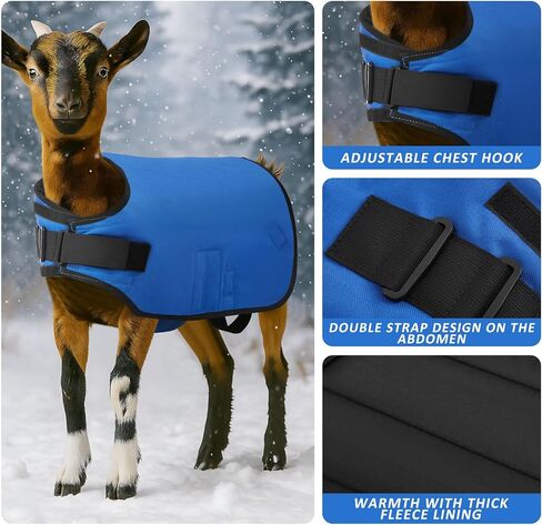 Weatherproof Goat Blanket for Winter Sheep and Calf Blanket Soft Fleece Lining Goat Coat for Show Goats, Pets & Livestock Adjustable Belly Straps for Secure Fit (Navy Blue,Size M) in Saudi Arabia