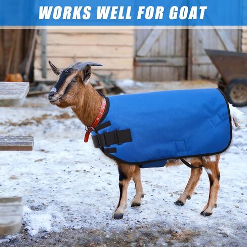 Weatherproof Goat Blanket for Winter Sheep and Calf Blanket Soft Fleece Lining Goat Coat for Show Goats, Pets & Livestock Adjustable Belly Straps for Secure Fit (Navy Blue,Size M) in Saudi Arabia