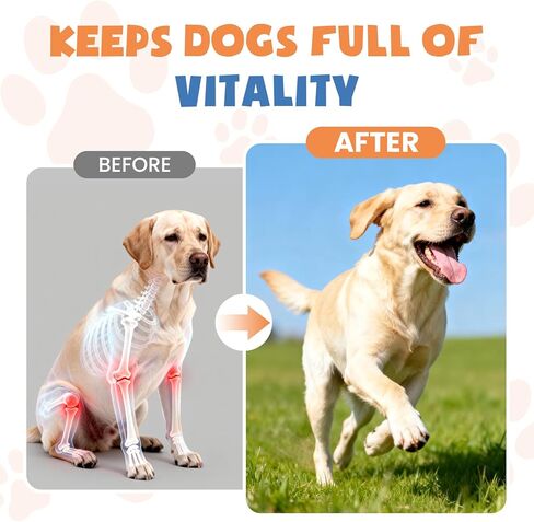 Collagen for Dogs,4.22oz (120ml) Liquid Collagen for Dogs,Enhances Joint Support,Flexibility,Cartilage and Mobility,Relieves Itching in Allergic,Liquid Drops Suitable for Cats and No Side Effects in Kuwait