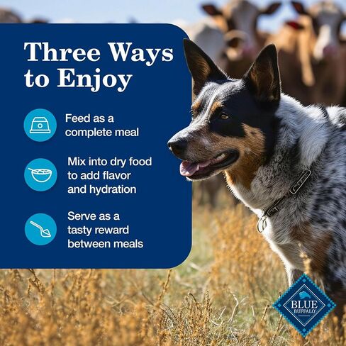 Blue Buffalo Homestyle Recipe Senior 7+ Turkey and Lamb Wet Dog Food for Senior 7+ Dogs, 12.5 oz. Cans, 6 Count Variety Pack in Kuwait