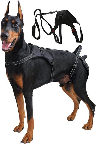 حزام رفع الكلاب متعدد الوظائف - سترة دعم لكامل الجسم لرفع الجسم الأمامي أو الخلفي أو كامل الجسم - تساعد على الحركة للكلاب الكبيرة أو المصابة أو ما بعد الجراحة، قابلة للتنفس وقابلة للغسل in Kuwait