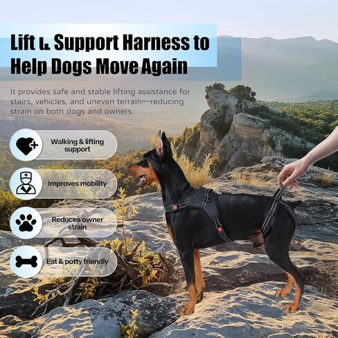 Multi-Functional Dog Lift Harness – Full Body Support Vest for Front, Rear, or Whole-Body Lifting – Mobility Aid for Senior, Injured, or Post-Surgery Dogs, Breathable & Washable in Saudi Arabia