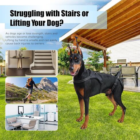 Multi-Functional Dog Lift Harness – Full Body Support Vest for Front, Rear, or Whole-Body Lifting – Mobility Aid for Senior, Injured, or Post-Surgery Dogs, Breathable & Washable in Saudi Arabia