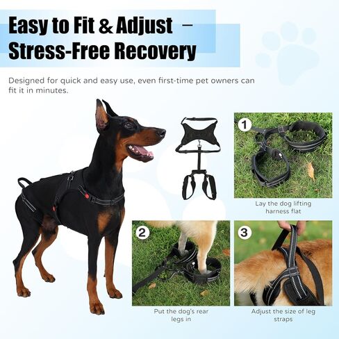Multi-Functional Dog Lift Harness – Full Body Support Vest for Front, Rear, or Whole-Body Lifting – Mobility Aid for Senior, Injured, or Post-Surgery Dogs, Breathable & Washable in Saudi Arabia