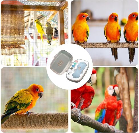 ماكينة تشذيب مخلب الطيور - مطحنة أظافر كهربائية هادئة للحيوانات الأليفة | مقص أظافر قابل لإعادة الشحن مع مجموعة رؤوس متعددة للطيور الصغيرة والأقفاص والطيور الداخلية والمجاثم والعناية بالببغاء in Saudi Arabia