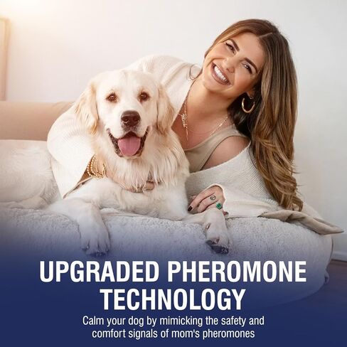 عبوة من 6 عبوات من فرمونات تهدئة الكلاب، عبوة من 6 عبوات من الفيرومونات الخاصة بالحيوانات الأليفة، 48 مل لتهدئة وتخفيف القلق، وتقليل العدوانية، ومكافحة الإجهاد، والنباح، ومناسبة لأجهزة توزيع الروائح الشائعة في 180 يومًا (لا طعم لها) in Kuwait