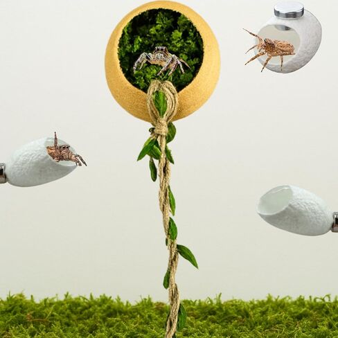 Jumping Spider Hammock Hideout with Rope Bridge & 3 Silk Cocoon Huts, Tarantula Hide & Climbing Accessory for Arboreal Enclosures (Silk Cocoon) in Saudi Arabia