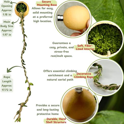 Jumping Spider Hammock Hideout with Rope Bridge & 3 Silk Cocoon Huts, Tarantula Hide & Climbing Accessory for Arboreal Enclosures (Silk Cocoon) in Saudi Arabia