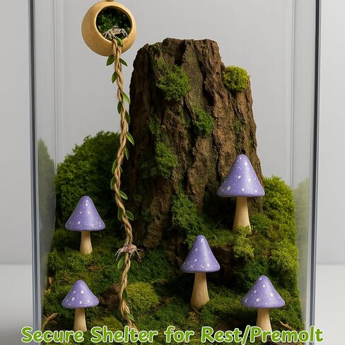 Jumping Spider Hammock Hideout with Rope Bridge & 3 Silk Cocoon Huts, Tarantula Hide & Climbing Accessory for Arboreal Enclosures (Silk Cocoon) in Saudi Arabia