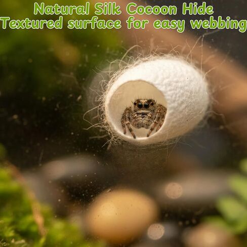 Jumping Spider Hammock Hideout with Rope Bridge & 3 Silk Cocoon Huts, Tarantula Hide & Climbing Accessory for Arboreal Enclosures (Silk Cocoon) in Saudi Arabia