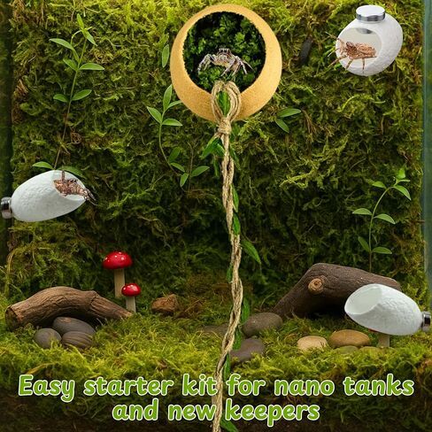 Jumping Spider Hammock Hideout with Rope Bridge & 3 Silk Cocoon Huts, Tarantula Hide & Climbing Accessory for Arboreal Enclosures (Silk Cocoon) in Saudi Arabia