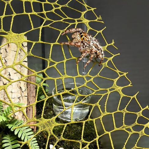 شريط طحالب من Harhana Jumping Spider Webbed Ribbon، 8 قطع ديكور طحالب مع 8 مغناطيسات لسهولة الإعداد لحاوية العنكبوت القفز، شبكة تسلق الموائل وديكور Terrarium (أسود، أبيض، أصفر، أخضر) in Kuwait