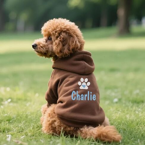 Personalized Name Dog Hoodie, Embroidery Pet Sweaters for Small Dogs, Customized Pet Clothes Warm Winter Outfit for Dogs, Bright Puppy Sweatshirt, Pets Birthday Outfit, Dog Lovers Gifts 1 in Saudi Arabia
