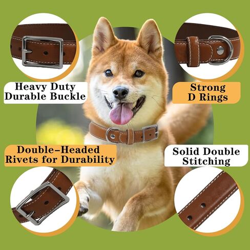 Genuine Leather Dog Collar, Heavy Duty Dog Collar with Sturdy Metal Buckle, Thick Collar for Walking, Hiking, Training, Hunting (L: Fit 16"-20.5" Neck) in Saudi Arabia