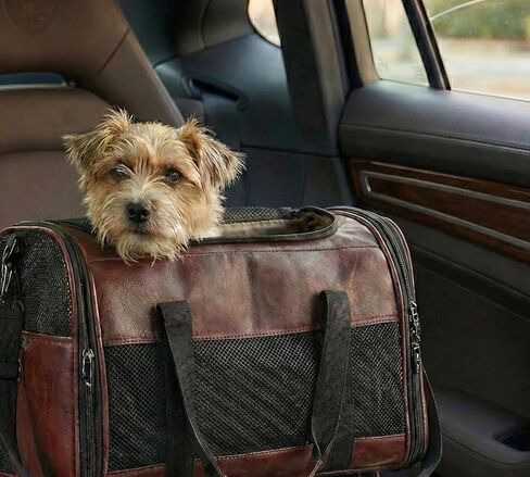Luxury Airline Approved Pet Carrier Bag – Vegan Leather Cat & Dog Travel Tote, TSA-Approved with Breathable Mesh, Shoulder Strap, Luggage Sleeve – Includes Leather Cream & 2-Year Warranty in Saudi Arabia