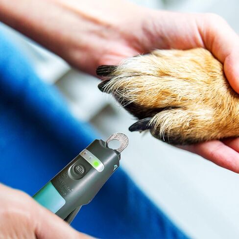 Miracle Care QuickFinder Guillotine-Style Dog Clippers, Small/Medium in Saudi Arabia