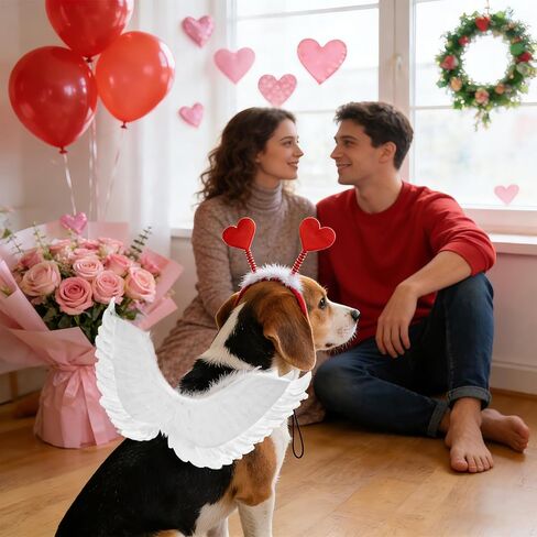 rbenxia الكلب عيد الحب زي الكلب سويت القلب عقال الحب تحت عنوان ملابس الكلب مع ريشة بيضاء الجناح القلب عقال، الحيوانات الأليفة عيد الحب صورة يطلق النار الزي للكلاب الصغيرة والمتوسطة الكبيرة in Kuwait