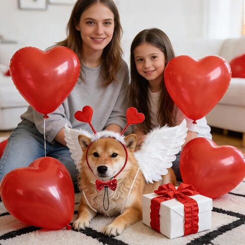 rbenxia الكلب عيد الحب زي الكلب سويت القلب عقال الحب تحت عنوان ملابس الكلب مع ريشة بيضاء الجناح القلب عقال، الحيوانات الأليفة عيد الحب صورة يطلق النار الزي للكلاب الصغيرة والمتوسطة الكبيرة in Kuwait