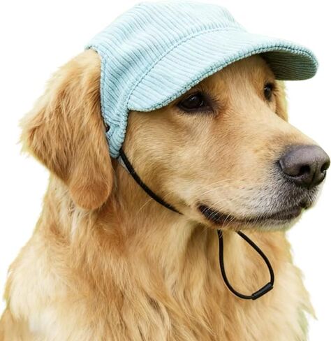 Pet Baseball Cap with Ear Holes - Multi-Color Sun Visor Hat for Dogs & Cats, Summer & Fall Beach Headwear for Dog&Cat (Green, M) in Saudi Arabia