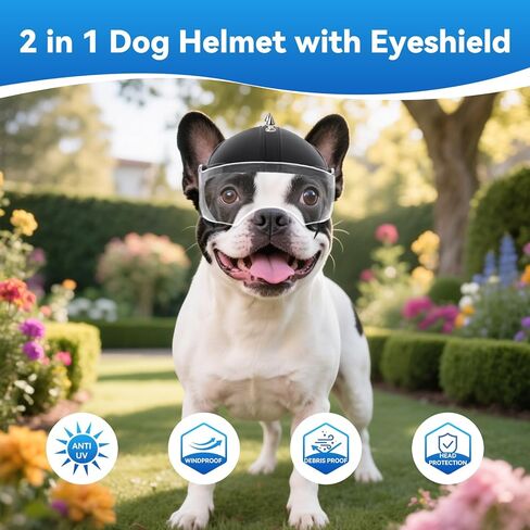 LESYPET Dog Helmet Small Breed, Dog Motorcycle Helmet Drop-Down Clear Visor for Outdoor Motorcycling Windproof Pet Hat with Ear Hole, with Rivet in Saudi Arabia