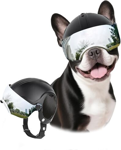 LESYPET Dog Helmet Small Breed, Dog Motorcycle Helmet Drop-Down Clear Visor for Outdoor Motorcycling Windproof Pet Hat with Ear Hole, with Rivet in Saudi Arabia