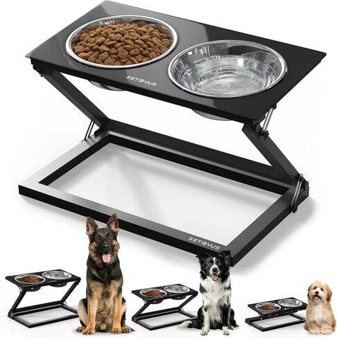 Elevated Dog Bowls, Adjustable Raised Dog Bowl Stand with 2 Stainless Steel Food Bowls 20°Tilted Water Bowls for Small Sized Dogs and Cats (Black, Small) in Saudi Arabia
