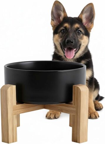 hjn Elevated Ceramic Dog Bowl with Bamboo Stand, Raised Pet Feeding Station for Small Medium Dogs Cats, Modern Design with Anti-Slip Base (Black, 7.6Cup) in Saudi Arabia