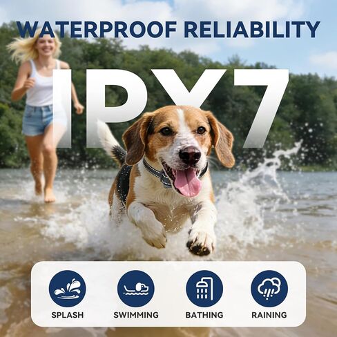 CanineJoy طوق صدمات للكلاب الصغيرة جدًا، نطاق 3300 قدم، طوق تدريب للكلاب خفيف للغاية مع جهاز تحكم عن بعد للكلاب المتوسطة الصغيرة 5-15 رطل، طوق إلكتروني مقاوم للماء وقابل لإعادة الشحن IPX7 in Kuwait