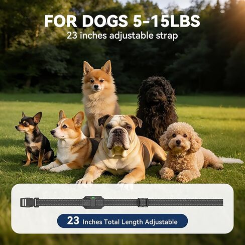 CanineJoy طوق صدمات للكلاب الصغيرة جدًا، نطاق 3300 قدم، طوق تدريب للكلاب خفيف للغاية مع جهاز تحكم عن بعد للكلاب المتوسطة الصغيرة 5-15 رطل، طوق إلكتروني مقاوم للماء وقابل لإعادة الشحن IPX7 in Kuwait