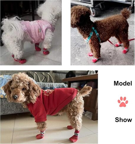 Dog Boots Waterproof Breathable Socks with Anti-Slip Sole,Wear-Resistant Outdoor Dog Shoes for Hiking and Running_M(Red) in Saudi Arabia
