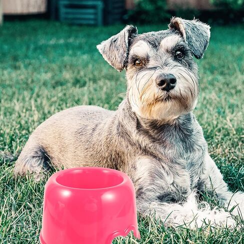 TOYANDONA Candy Color Plastic Dog Bowl Round Pet Food Bowl for Cats and Dogs for Puppy and Adult Pets for Home and Travel in Saudi Arabia