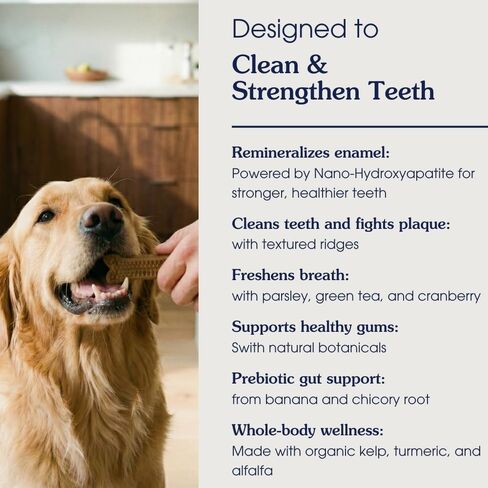 أرتيرا بيت ساينس مضغ أسنان الكلاب مع نانو هيدروكسيباتيت الجيل القادم من المضغ اليومي لأسنان أقوى ونفس منعش وأمعاء صحية، 14 قطعة، حزمة من 1 in Saudi Arabia