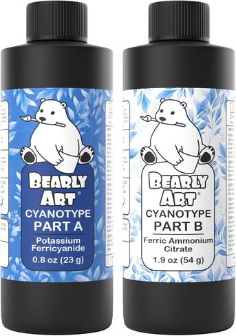 Bearly Art Cyanotype Kit - Sun - Solar Print Set for Photographic Printing on Paper and Fabric - 2 Part Sensitizer - Archival - Creates 32 8"x10" Prints on Paper and 25 on Fabric in Kuwait