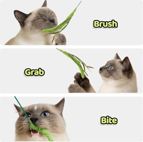 Cat Wand Toy – Natural Grass-Inspired Cat Teaser Stick, Durable Design for Indoor Cats, Interactive Play for Exercise, Hunting, and Bonding in Saudi Arabia