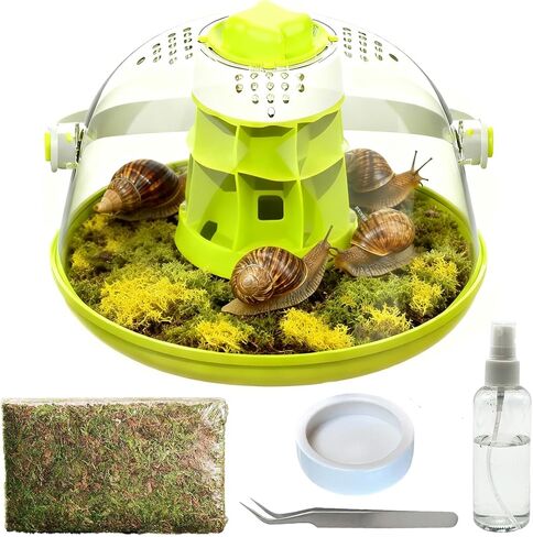 Snail Terrarium Kit Insect Enclosure Bug Terrarium Observation Container Praying Mantis Habitat Breeding Box Micro Habitat Starter Kit for Beetles Spider Small Reptile in Saudi Arabia