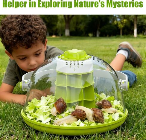 Snail Terrarium Kit Insect Enclosure Bug Terrarium Observation Container Praying Mantis Habitat Breeding Box Micro Habitat Starter Kit for Beetles Spider Small Reptile in Saudi Arabia