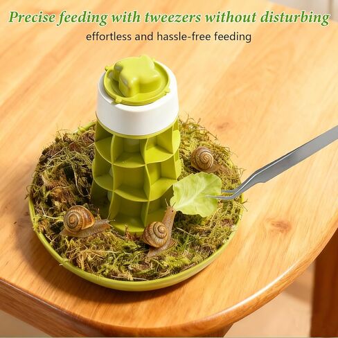 Snail Terrarium Kit Insect Enclosure Bug Terrarium Observation Container Praying Mantis Habitat Breeding Box Micro Habitat Starter Kit for Beetles Spider Small Reptile in Saudi Arabia