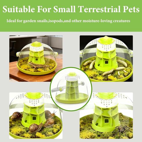 Snail Terrarium Kit Insect Enclosure Bug Terrarium Observation Container Praying Mantis Habitat Breeding Box Micro Habitat Starter Kit for Beetles Spider Small Reptile in Saudi Arabia