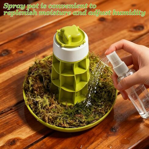 Snail Terrarium Kit Insect Enclosure Bug Terrarium Observation Container Praying Mantis Habitat Breeding Box Micro Habitat Starter Kit for Beetles Spider Small Reptile in Saudi Arabia