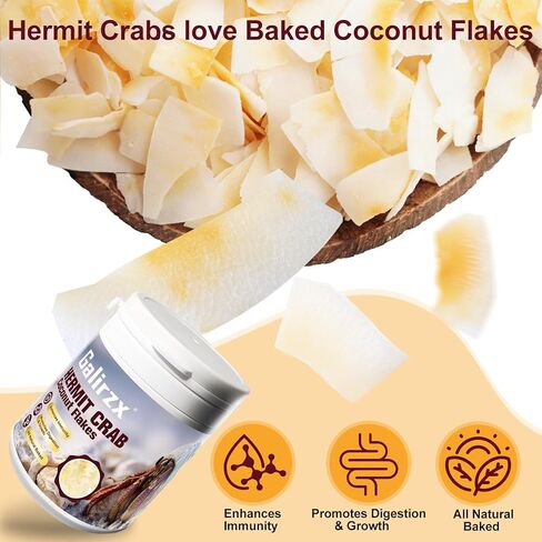 Hermit Crab Food – Baked Coconut Treat, Natural Dried Coconut Flakes for Hermit Crabs, Healthy, Additive-Free, Easily Digestible, Crispy Snack | 60g in Saudi Arabia