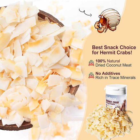 Hermit Crab Food – Baked Coconut Treat, Natural Dried Coconut Flakes for Hermit Crabs, Healthy, Additive-Free, Easily Digestible, Crispy Snack | 60g in Saudi Arabia