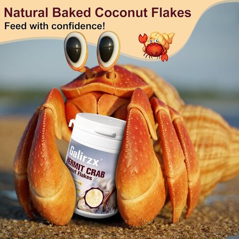 Hermit Crab Food – Baked Coconut Treat, Natural Dried Coconut Flakes for Hermit Crabs, Healthy, Additive-Free, Easily Digestible, Crispy Snack | 60g in Saudi Arabia