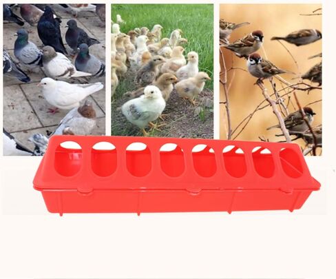 Maxmoral 2PCS Red Plastic Flip Top Small Poultry Feeder 30x11.5x7.2cm Anti Spill Waste Reducing Porous Pigeon Supplies for Separating Feed and Water in Saudi Arabia