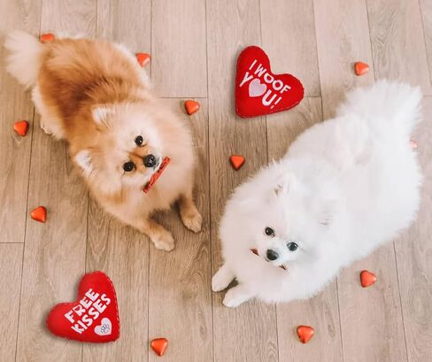 ألعاب BoomBone Valentines القطيفة للكلاب الصغيرة، 2 عبوة من ألعاب الجرو على شكل قلب للسلالات الصغيرة المتوسطة، أفضل هدية لعيد الحب in Kuwait