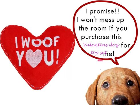 ألعاب BoomBone Valentines القطيفة للكلاب الصغيرة، 2 عبوة من ألعاب الجرو على شكل قلب للسلالات الصغيرة المتوسطة، أفضل هدية لعيد الحب in Kuwait