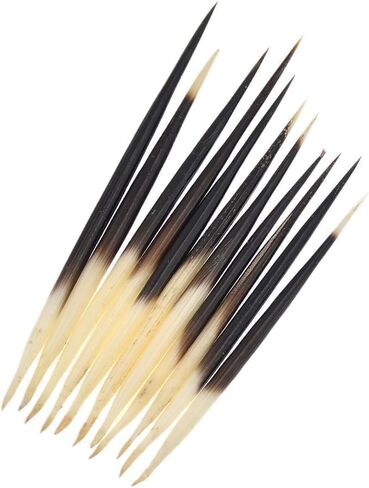 10Pcs Black Porcupine Quills Hair Stick Indian Crafts Accessories Fishing Buoy DIY Sewing Project Kits Sewing Notions and Supplies in Saudi Arabia