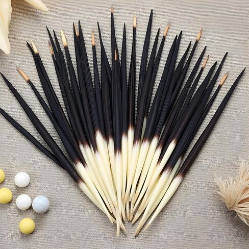 10Pcs Black Porcupine Quills Hair Stick Indian Crafts Accessories Fishing Buoy DIY Sewing Project Kits Sewing Notions and Supplies in Saudi Arabia