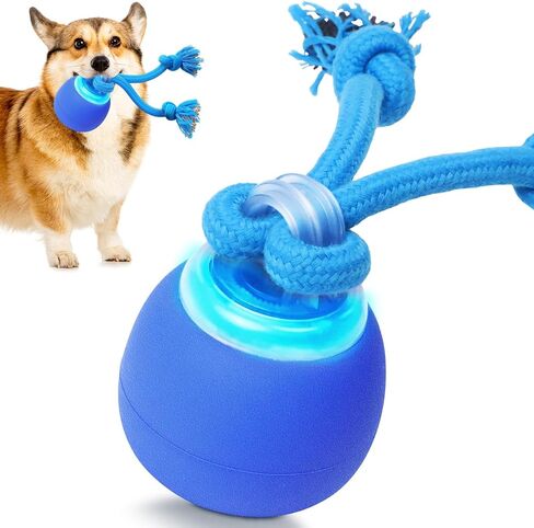 Interactive Dog Toys to Keep Them Chase Busy Buddy Doggie Ball for Small Puppy(Blue) in Saudi Arabia