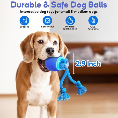 Interactive Dog Toys to Keep Them Chase Busy Buddy Doggie Ball for Small Puppy(Blue) in Saudi Arabia